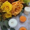 Elyon Tableware¬Æ 36 Orange Scented Orange Colored Wax Deep Tealight Candles in Plastic Holder